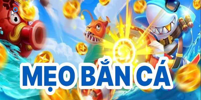 Mẹo cược thắng đậm và siêu khủng