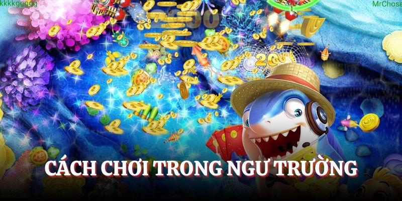 Cách chơi hiệu quả trong ngư trường