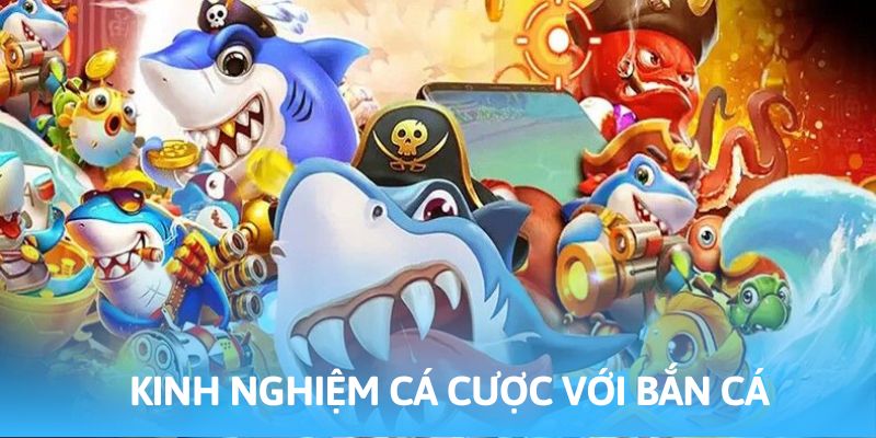 Kinh nghiệm giải trí áp dụng bởi cao thủ