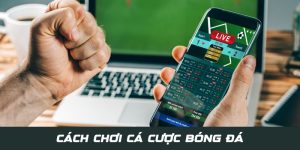 cá độ bóng đá