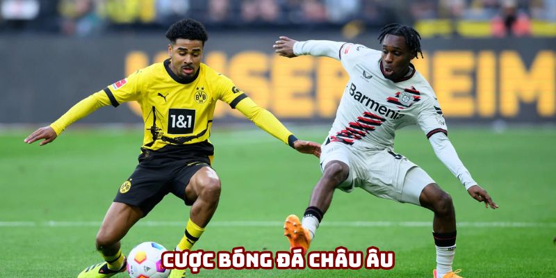 Mẹo chơi cần nắm khi tham gia cá cược