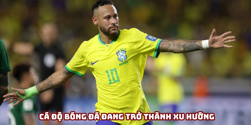 Cá độ bóng đá đang thu hút rất nhiều người quan tâm