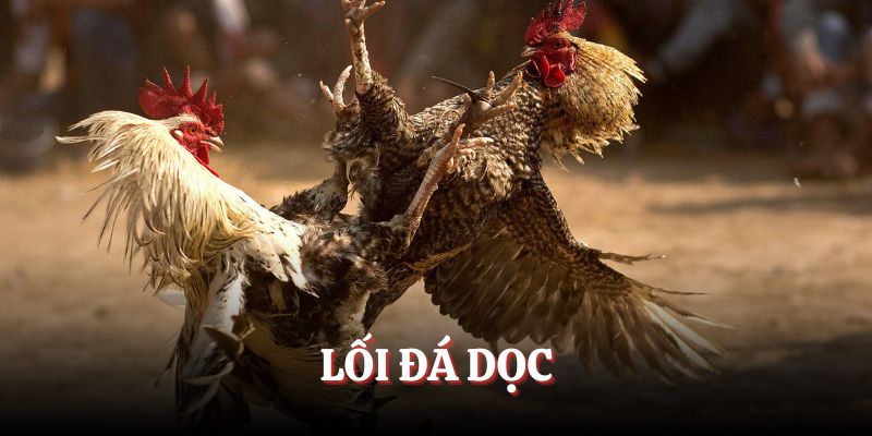 Lối đá dọc khi gà ra sân thi đấu