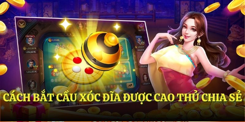 Cách bắt cầu xóc đĩa được cao thủ chia sẻ