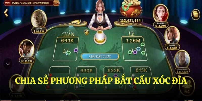 Chia sẻ phương pháp bắt cầu xóc đĩa