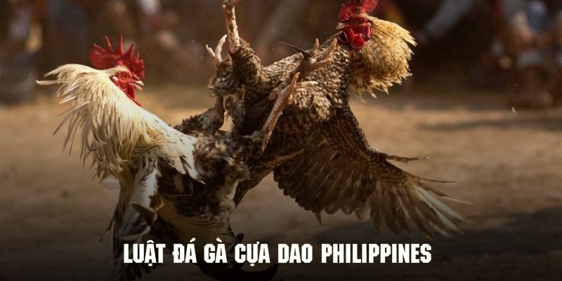 Chi tiết về luật chơi chọi gà cựa dao Philippines