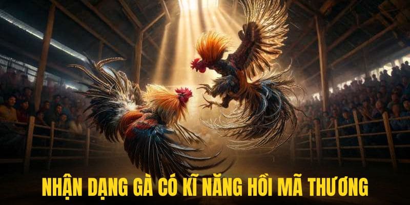 Nhận dạng chiến binh có kĩ năng đá gà mã thương để xuống tiền cược