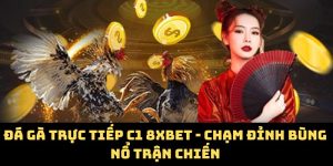 Đá Gà Trực Tiếp C1 8xbet - Chạm Đỉnh Bùng Nổ Trận Chiến