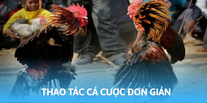 Thao tác cá cược tối giản tại nền tảng