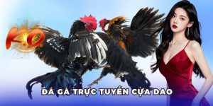 Đá Gà Trực Tuyến Cựa Dao Tại 8XBET - Sàn Đấu Kịch Liệt 2025