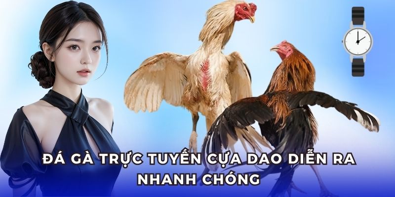 Diễn biến các trận đá gà trực tuyến cựa dao nhanh