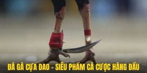 Gà Cựa Dao – Hình Thức Cá Cược Tốc Độ Cao 2025