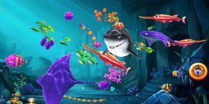 Bắn Cá Paradise - Săn Cá Thu Về Phần Thưởng Siêu Khủng