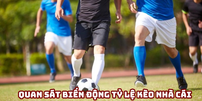 Tìm hiểu biến động tỷ lệ kèo nhà cái