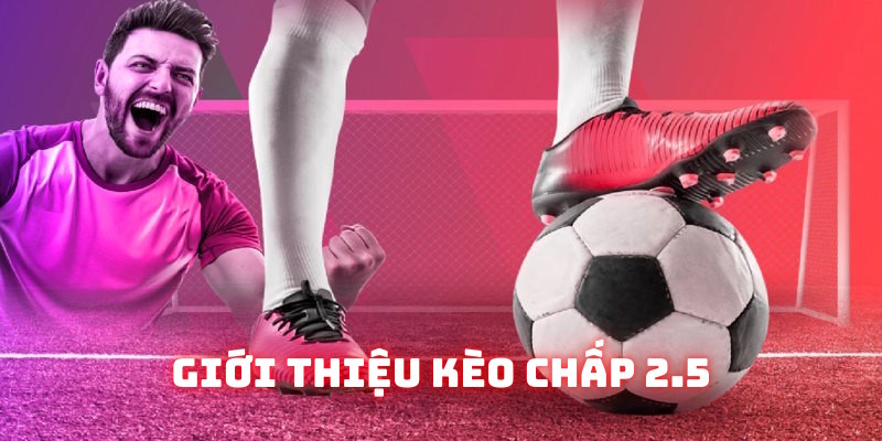 Thông tin sơ lược về tỷ lệ kèo chấp 2.5