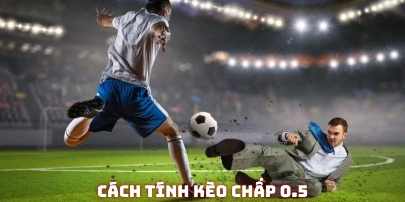 Ví dụ thực tiễn về chấp 0.5 để tân thủ hiểu rõ