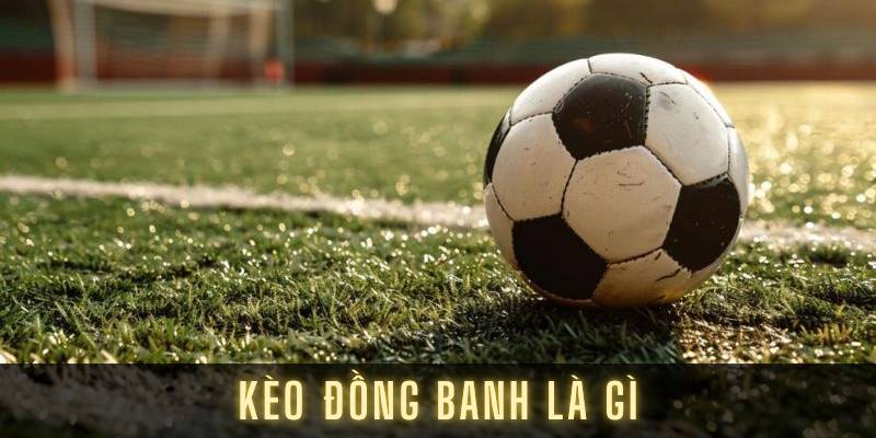 Cược chấp đồng banh mang đến trải nghiệm đầy kịch tính