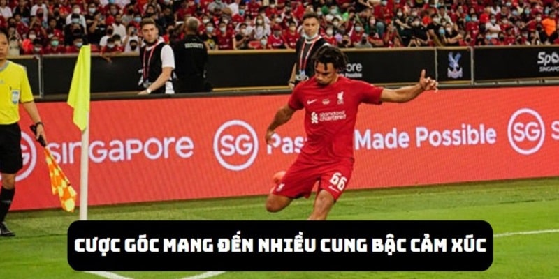 Khi chơi cược góc, cảm xúc của bạn luôn được trải qua nhiều cung bậc khác nhau