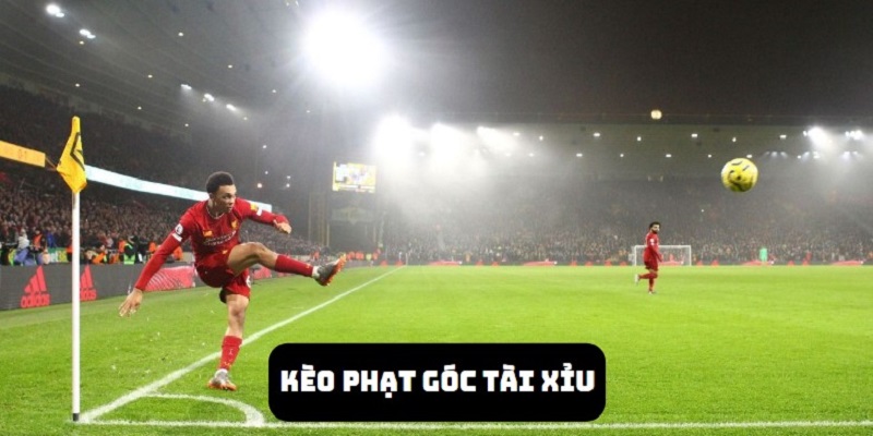 Trong tài xỉu góc sẽ chỉ có các mức tỷ lệ là số chẵn và đuôi thập phân lẻ 0.5