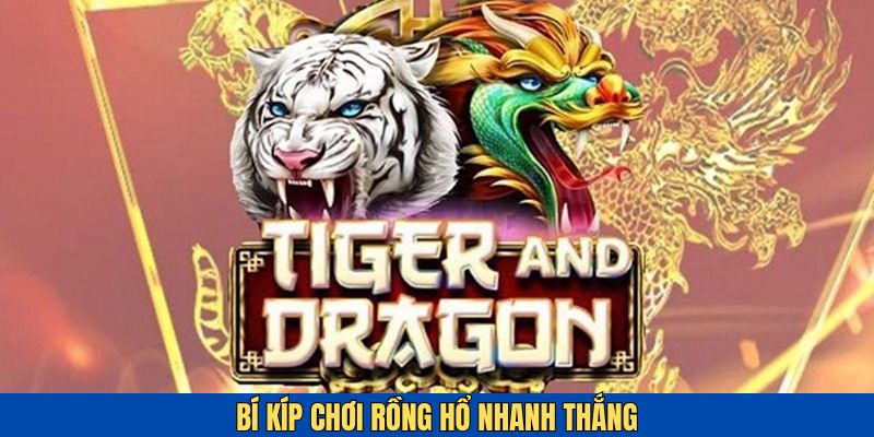 Khám phá bí kíp đặt cược Rồng Hổ nhanh thắng
