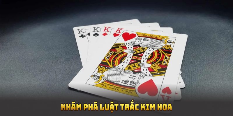 Khám phá luật Trắc Kim Hoa và tăng tỉ lệ thắng ngay