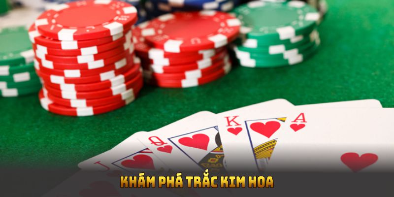 Khám phá Trắc Kim Hoa cùng sân chơi 8XBET hôm nay