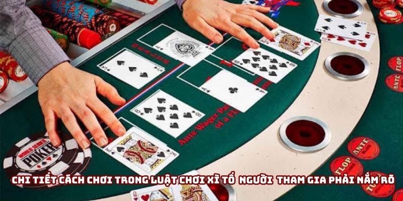 Chi tiết cách chơi trong luật chơi xì tố cho người mới tham gia phải nắm rõ