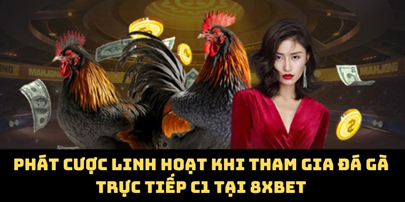Phát cược linh hoạt khi tham gia đá gà trực tiếp C1 tại 8Xbet