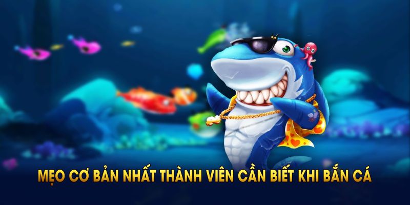 Mẹo cơ bản nhất thành viên cần biết khi tham gia bắn cá