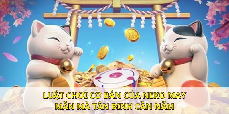 Cách quay cực cơ bản, đơn giản cho các tân binh