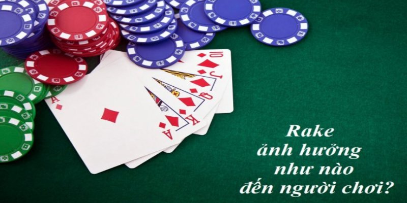 Rake trong poker một mức phí làm nhiều người chơi suy tính cùng 8XBET