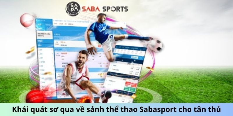 Sơ lược tổng quan sảnh đối tác Saba sport