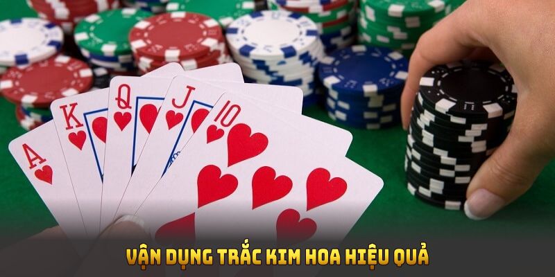 Vận dụng Trắc Kim Hoa hiệu quả qua các bí quyết này