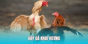 Vảy Gà Khai Vương - Đặc Điểm, Phân Loại Và Cách Chọn Chuẩn