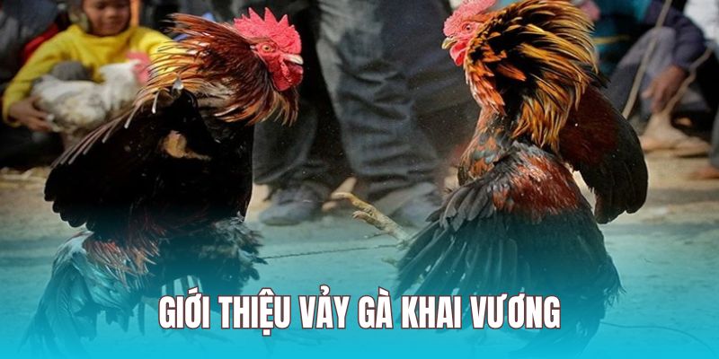 Giới thiệu về vảy khai vương thể hiện chiến kê xuất trúng