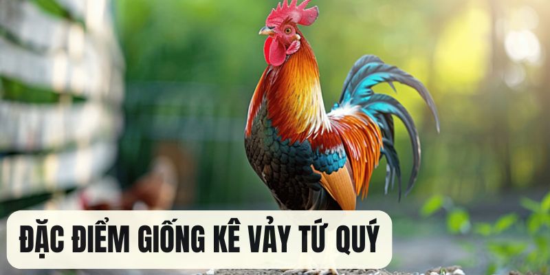 Đặc điểm và ý nghĩa vảy tứ quý bạn cần nắm được