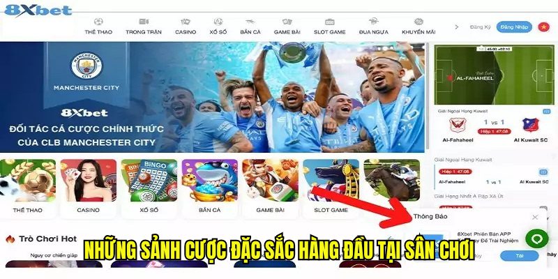 Những sảnh cược đặc sắc hàng đầu tại sân chơi